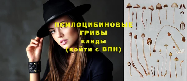 молекула духа Куйбышев