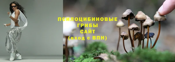 амф Кукмор