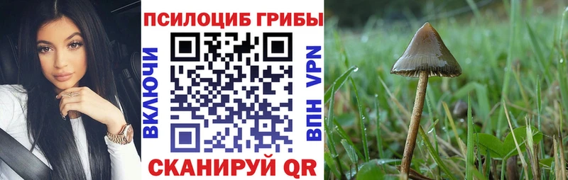 Галлюциногенные грибы Magic Shrooms shop формула Певек