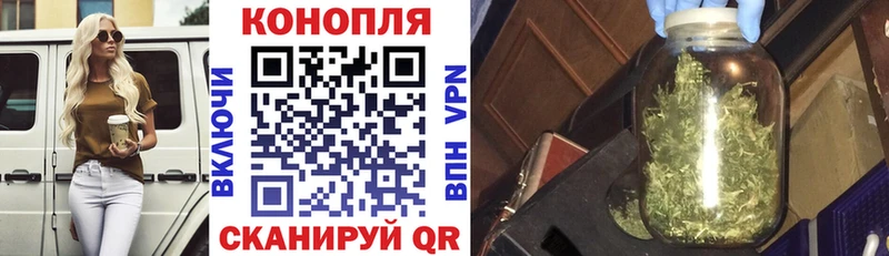 Канабис семена Певек